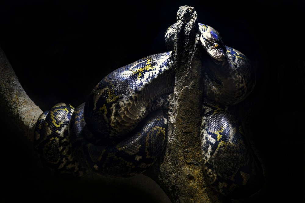 Photograph by Emil Banao