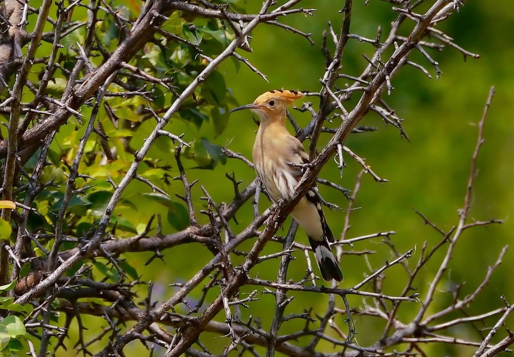 Фотография автора  Галина