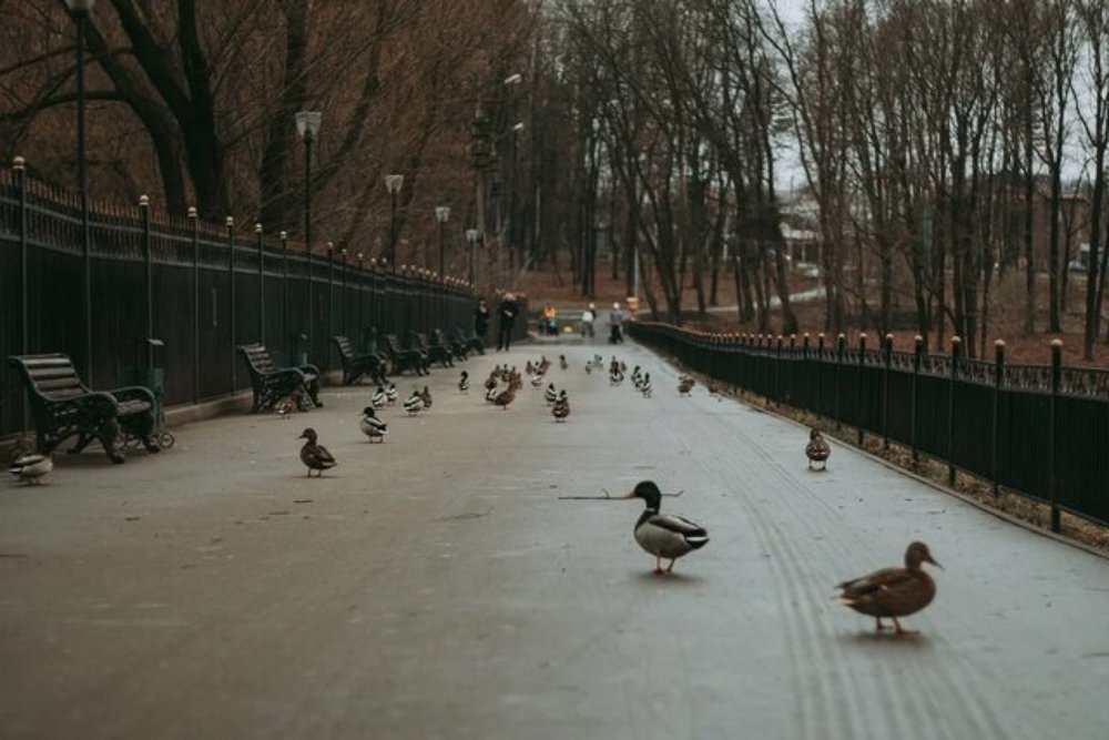 Photograph by Алена