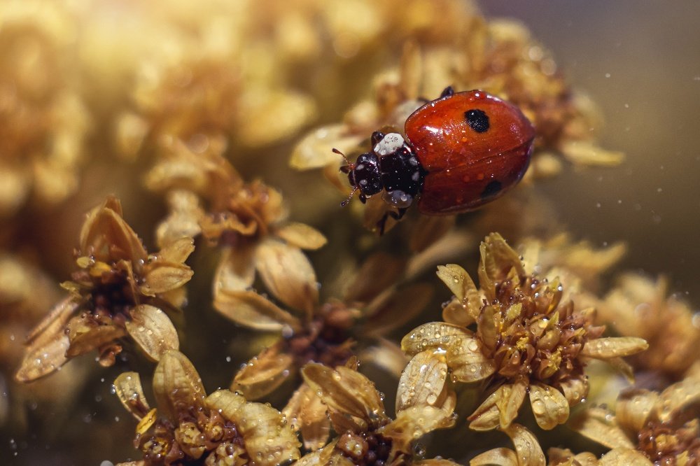 Photograph by Тимофей