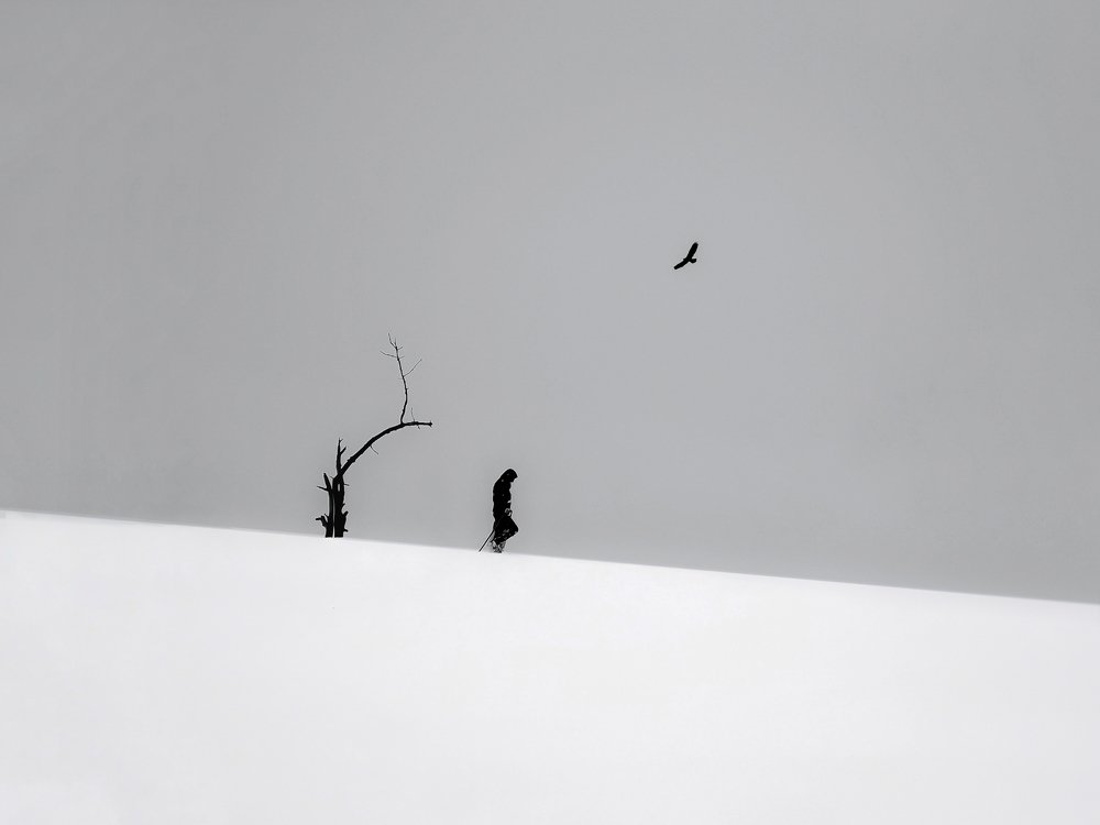 Фотография автора Alipour mohammad