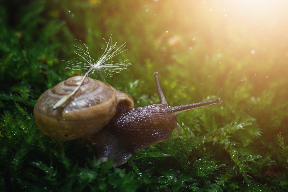 Photograph by Тимофей