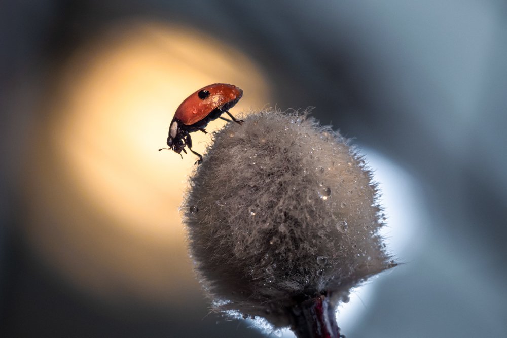 Photograph by Тимофей