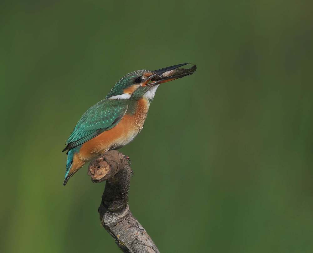 Photograph by Виктор Бондарев