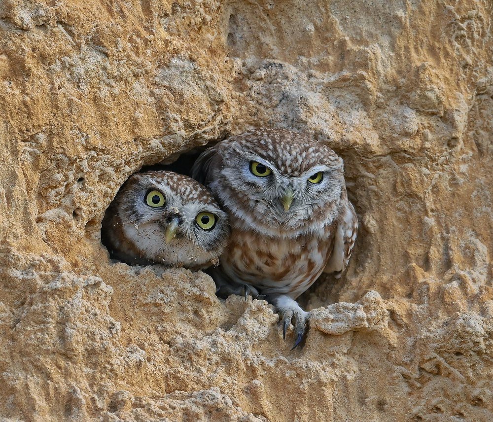 Photograph by Виктор Бондарев