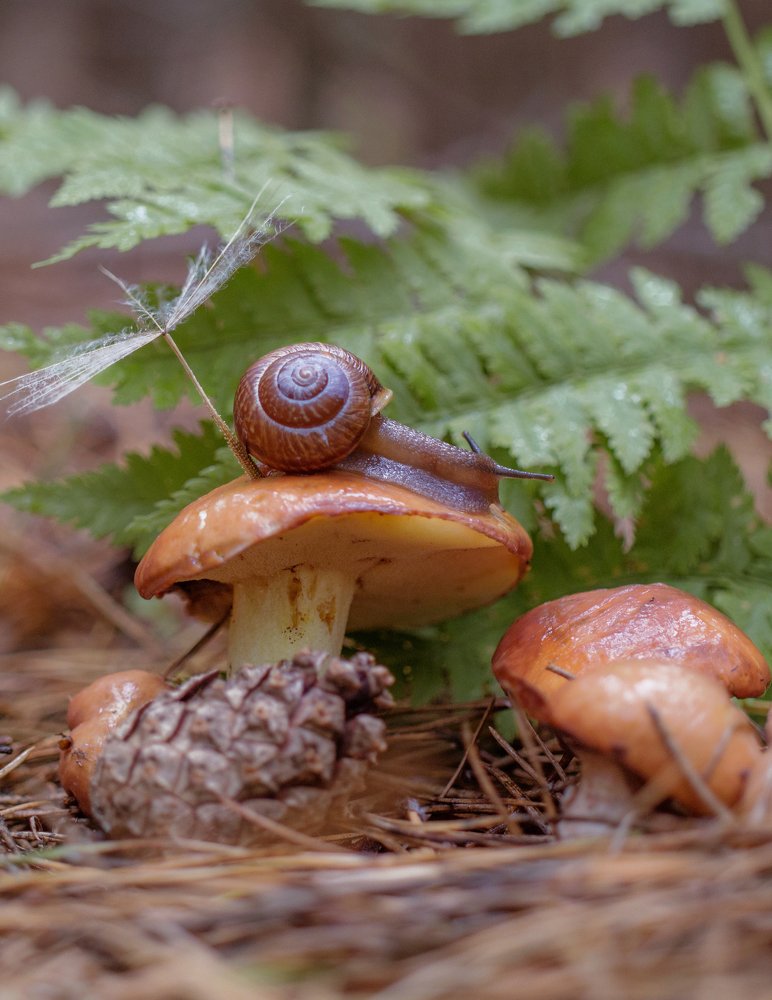 Фотография автора Александра Наливаева