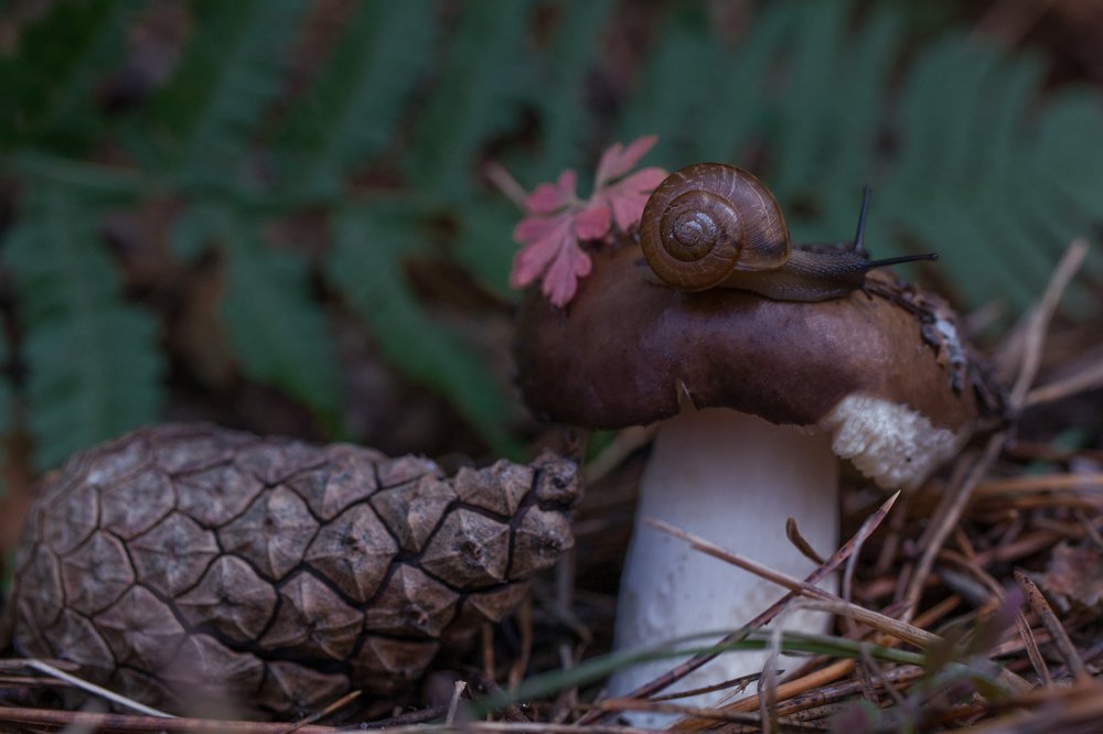 Фотография автора Александра Наливаева