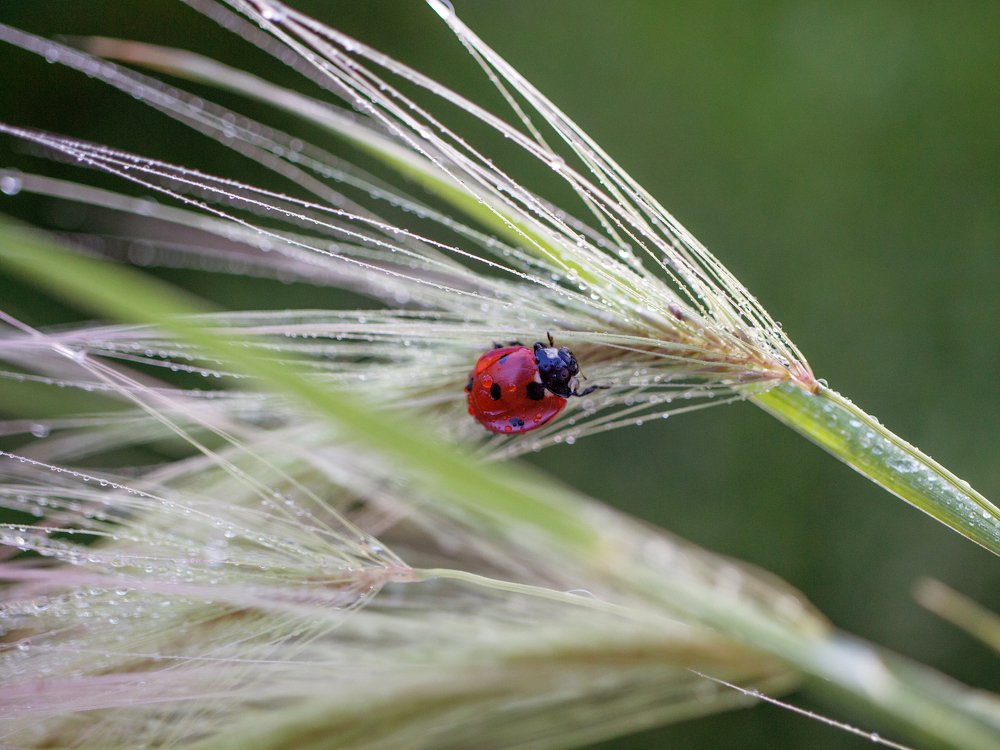 Фотография автора Александра Наливаева