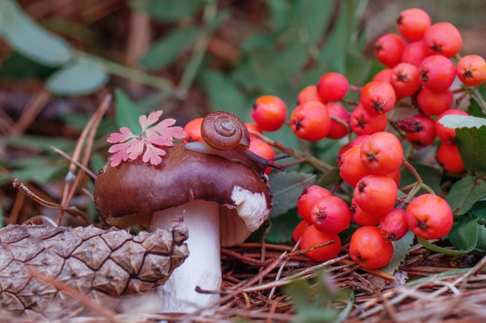 Фотография автора Александра Наливаева