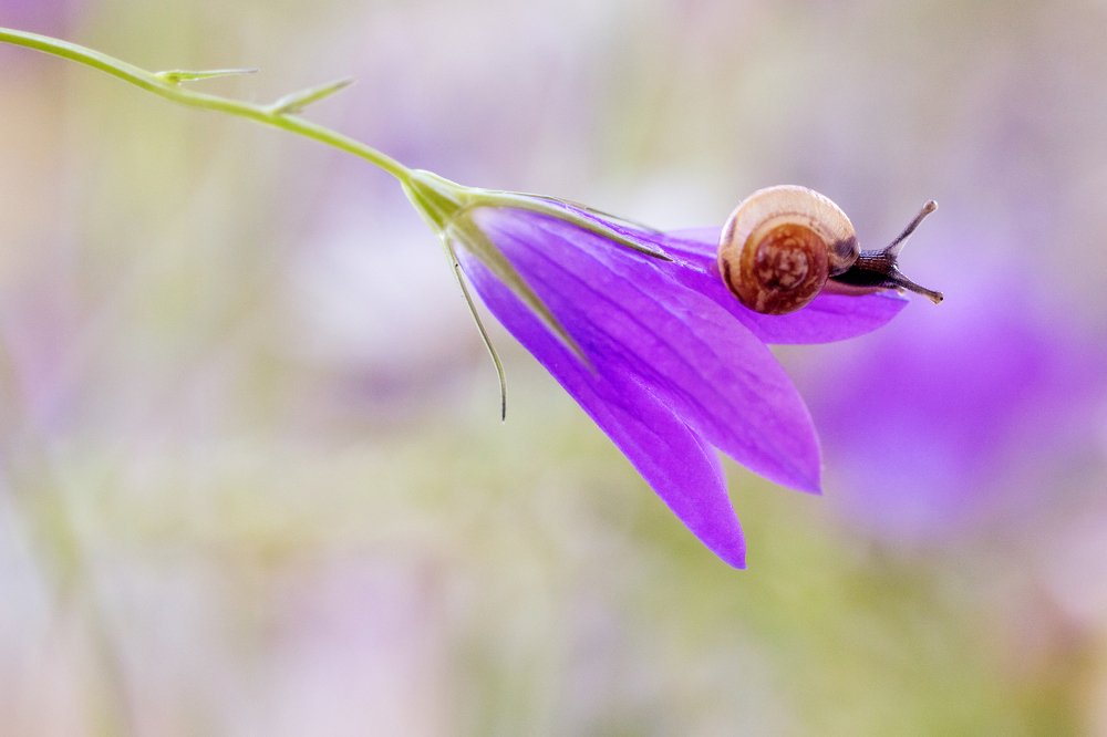 Фотография автора Александра Наливаева