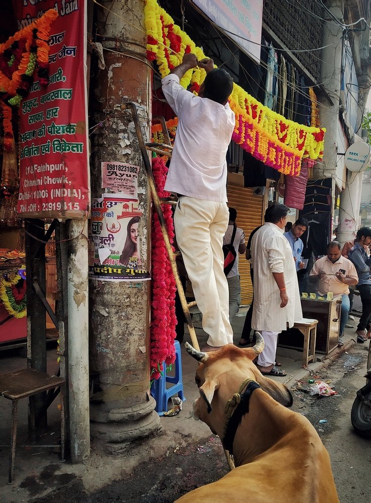 Photograph by Shekhar Kumar