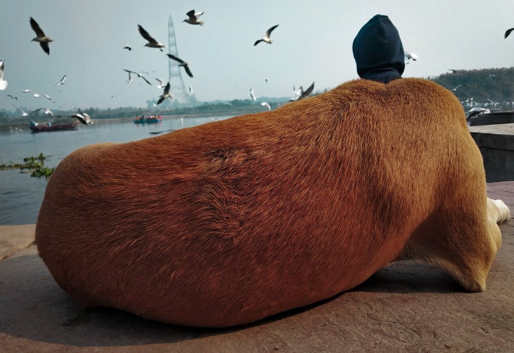 Photograph by Shekhar Kumar