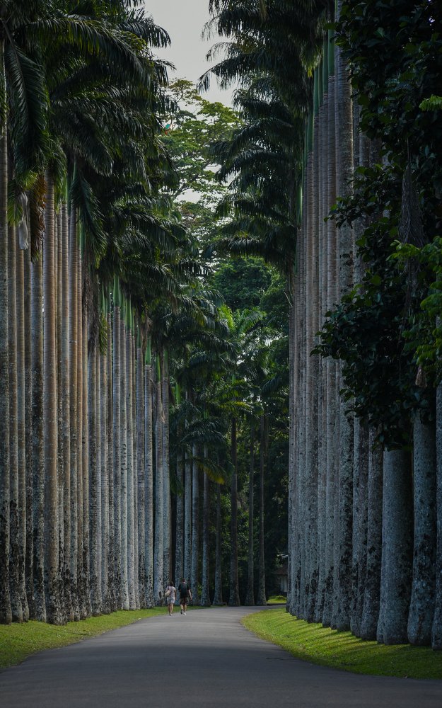 hold my hand and let's walk