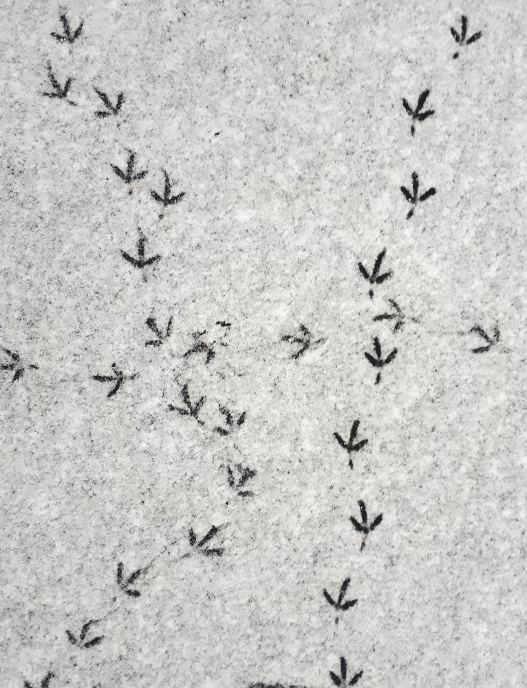 Photograph by Вадим Семенов