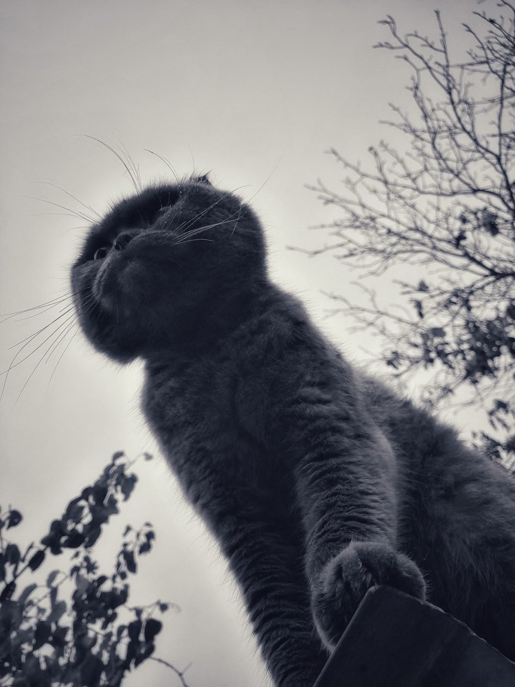 Photograph by Марина Згоник