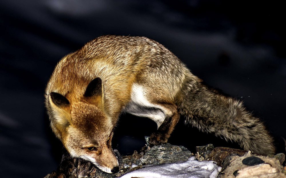 Photograph by Константин Урюпин