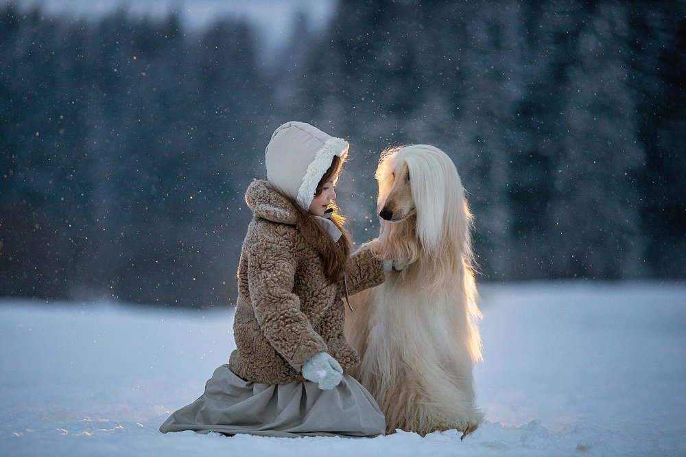 Photograph by Юлия Лоза