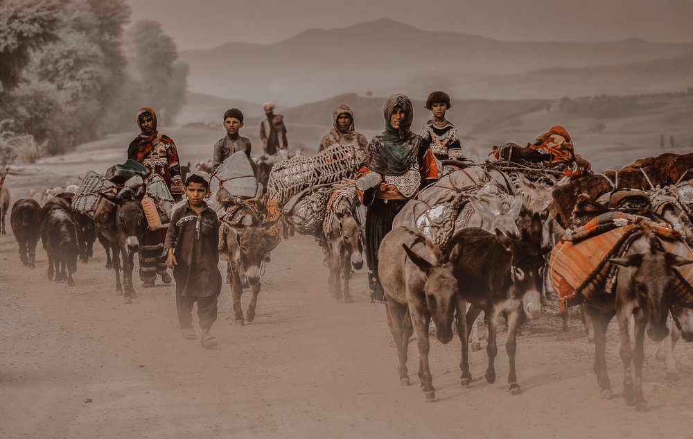 Nomads Of Pakistan Migration.