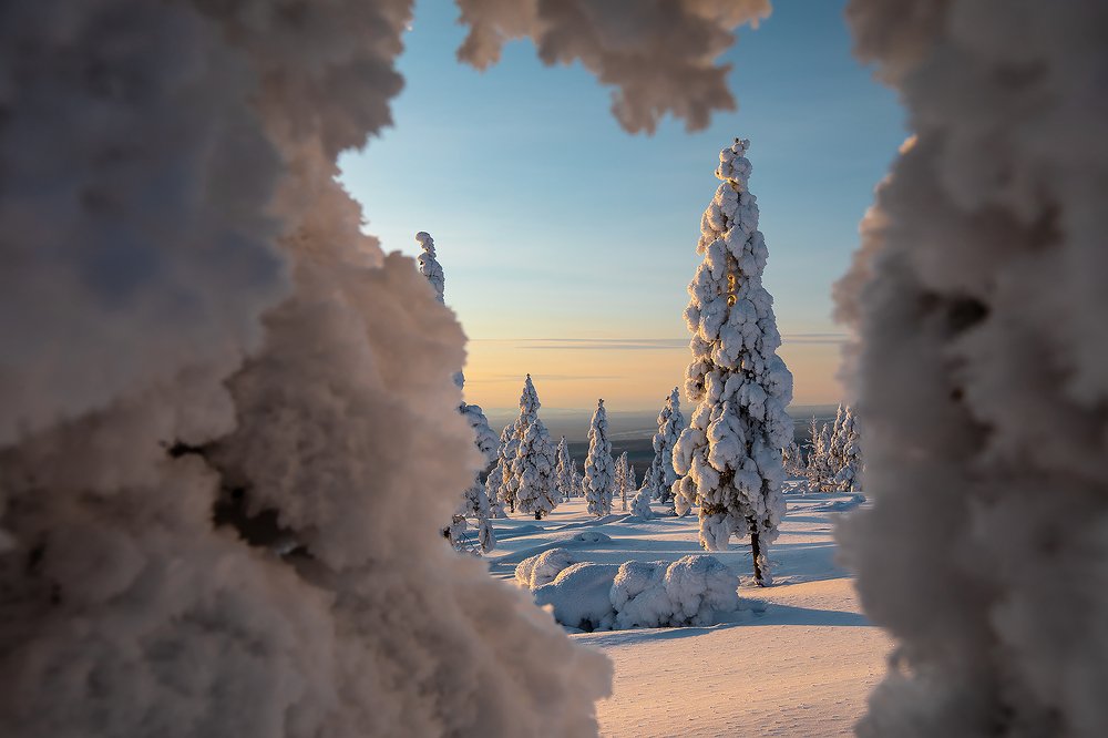 Photograph by Зарышнюк Роман