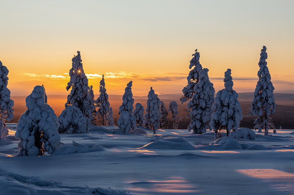 Photograph by Зарышнюк Роман