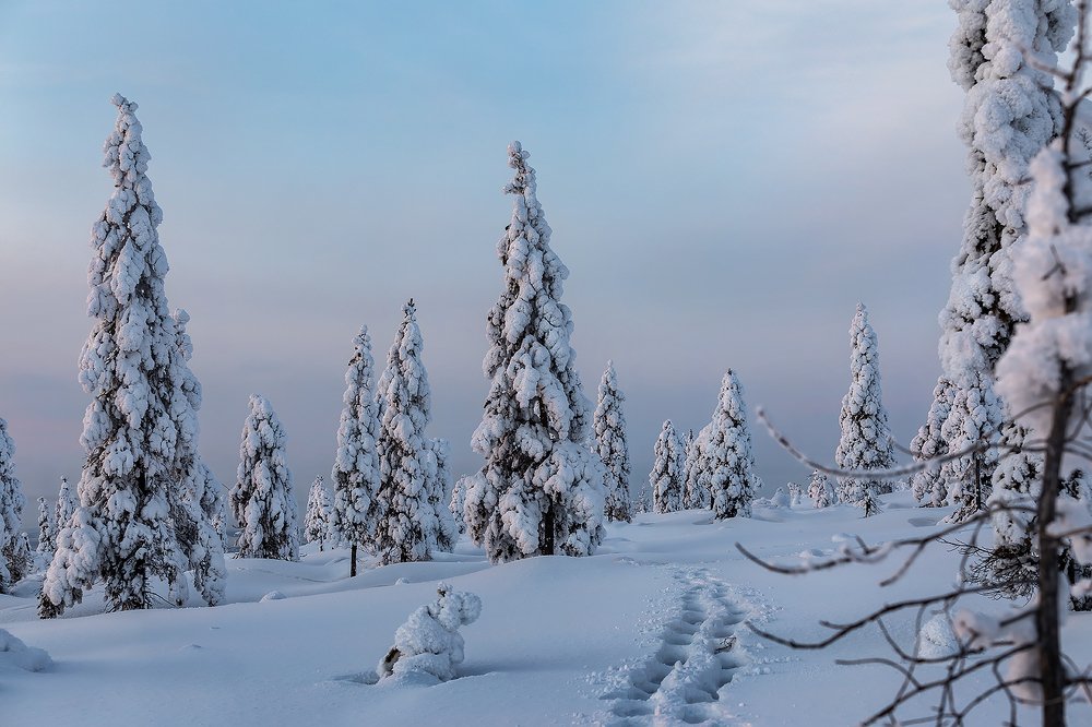 Оглядываясь назад