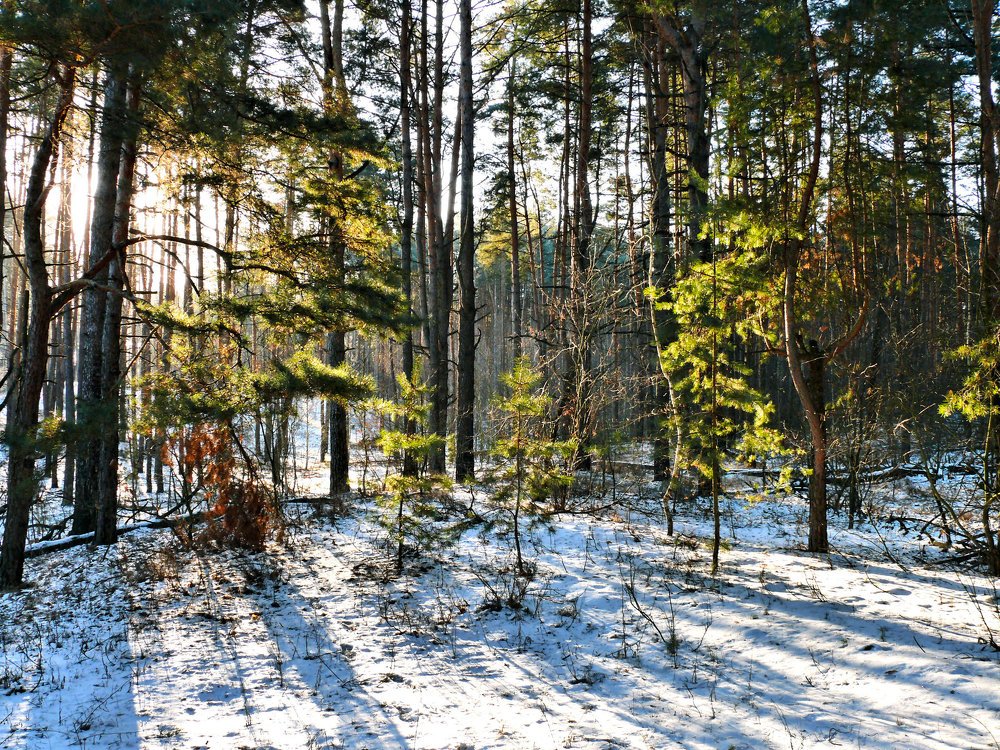 Photograph by Юрий Филицкий