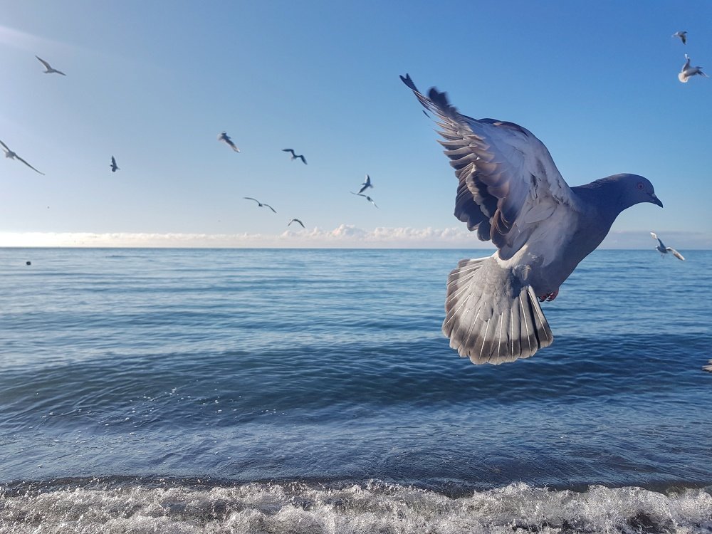 Photograph by Анна