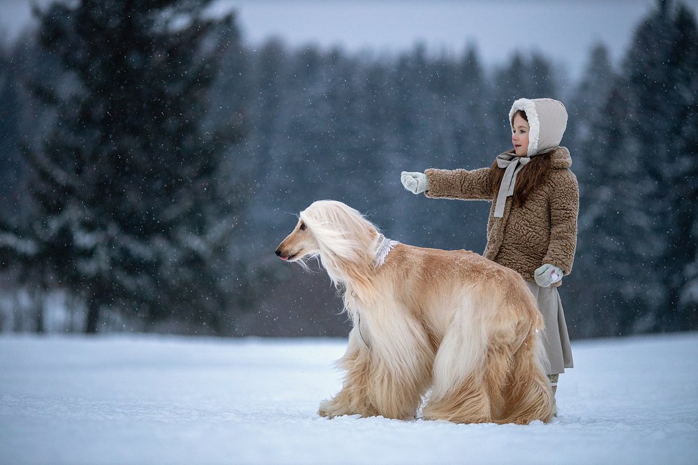 Photograph by Юлия Лоза