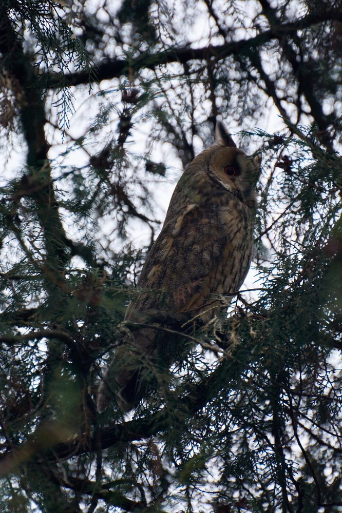 Photograph by Yaroslav