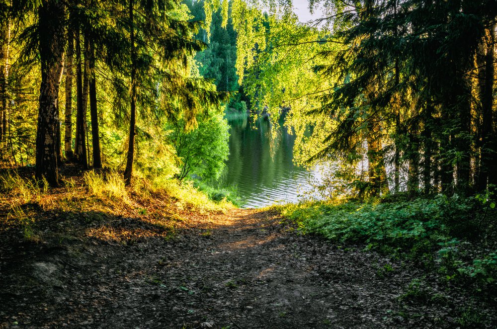 Photograph by Михаил Киселев