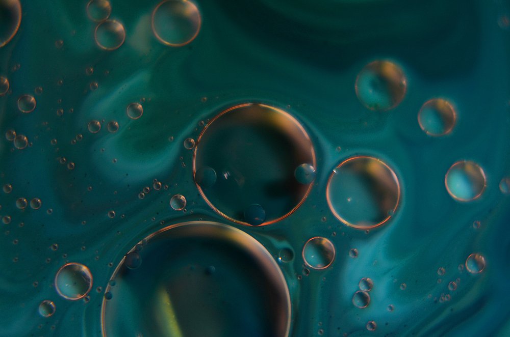 Photograph by Евгения Базарова