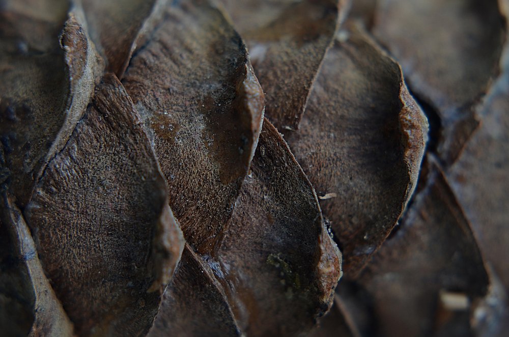 Photograph by Евгения Базарова