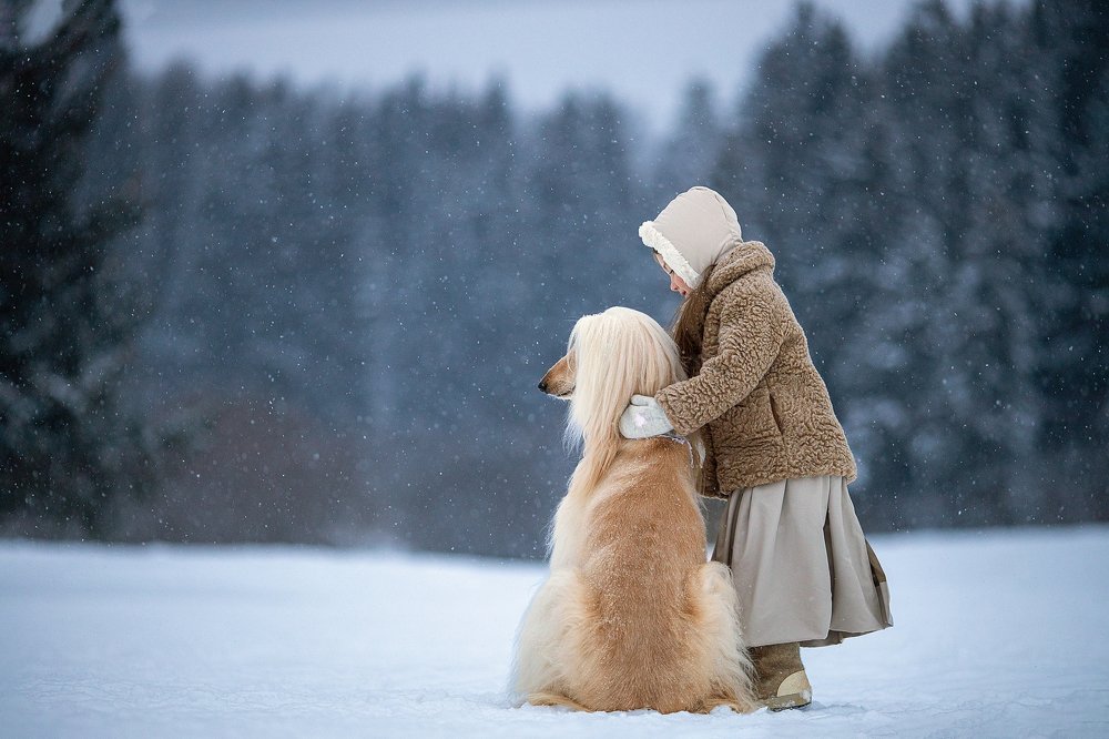 Photograph by Юлия Лоза