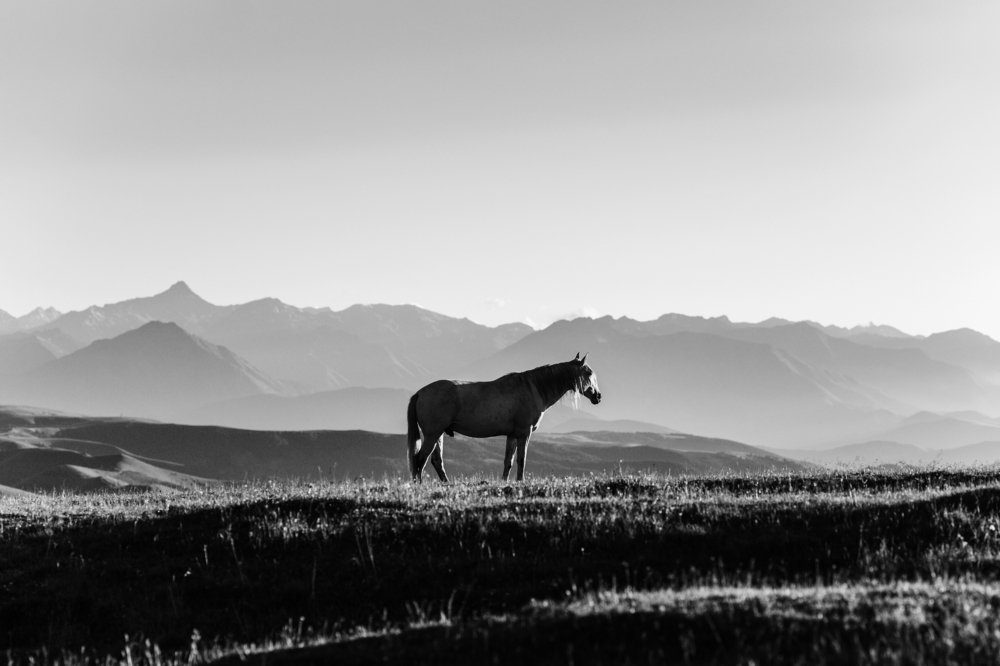 Photograph by Альбина Сагитова
