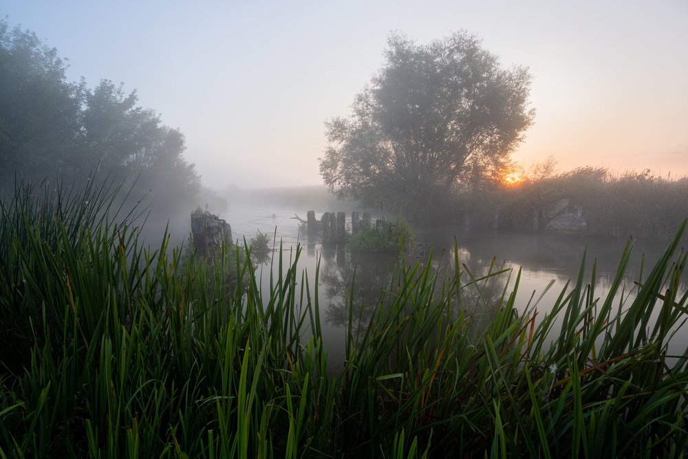 Photograph by Александр Бредихин