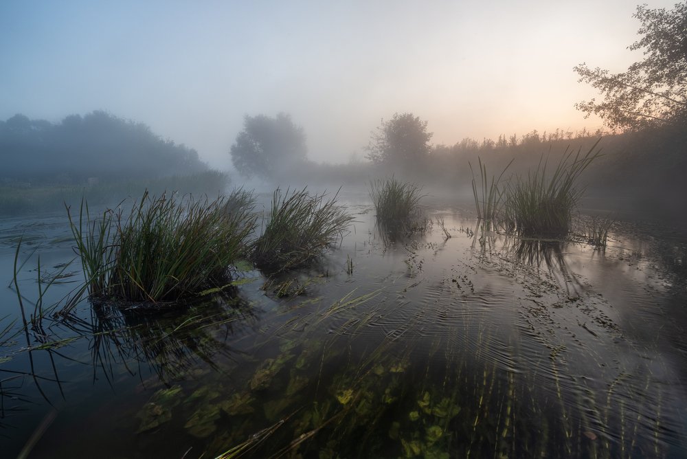 Photograph by Александр Бредихин