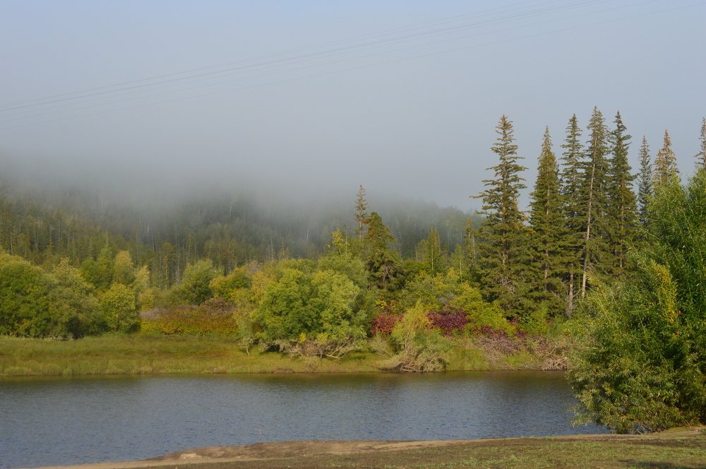 Photograph by Наталья Мордовская