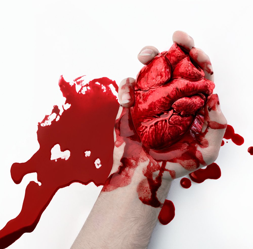 Photograph by Seyed Ahmad Beheshti