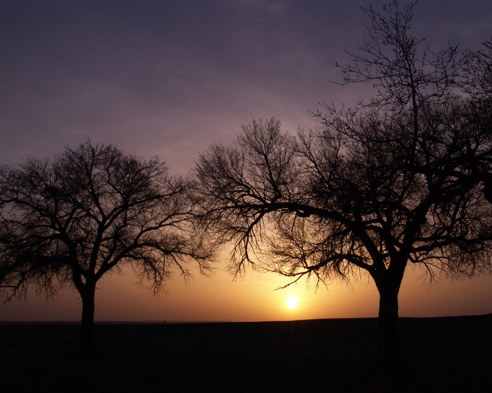 Photograph by Tugsbayar Shagdarsuren