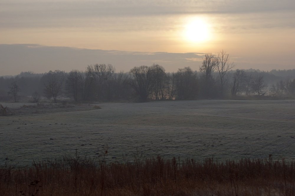 Photograph by Magdalena Wysztygiel