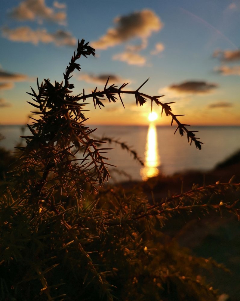 Photograph by Илья Гераськин