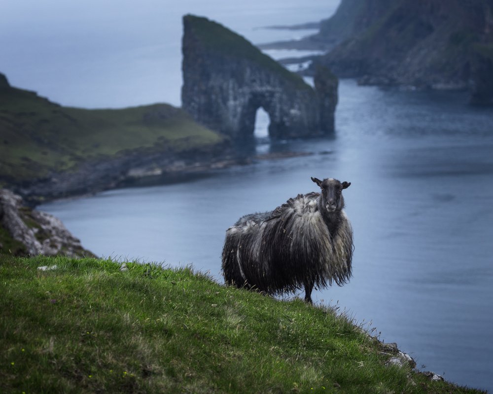 Фотография автора Oleg Rest