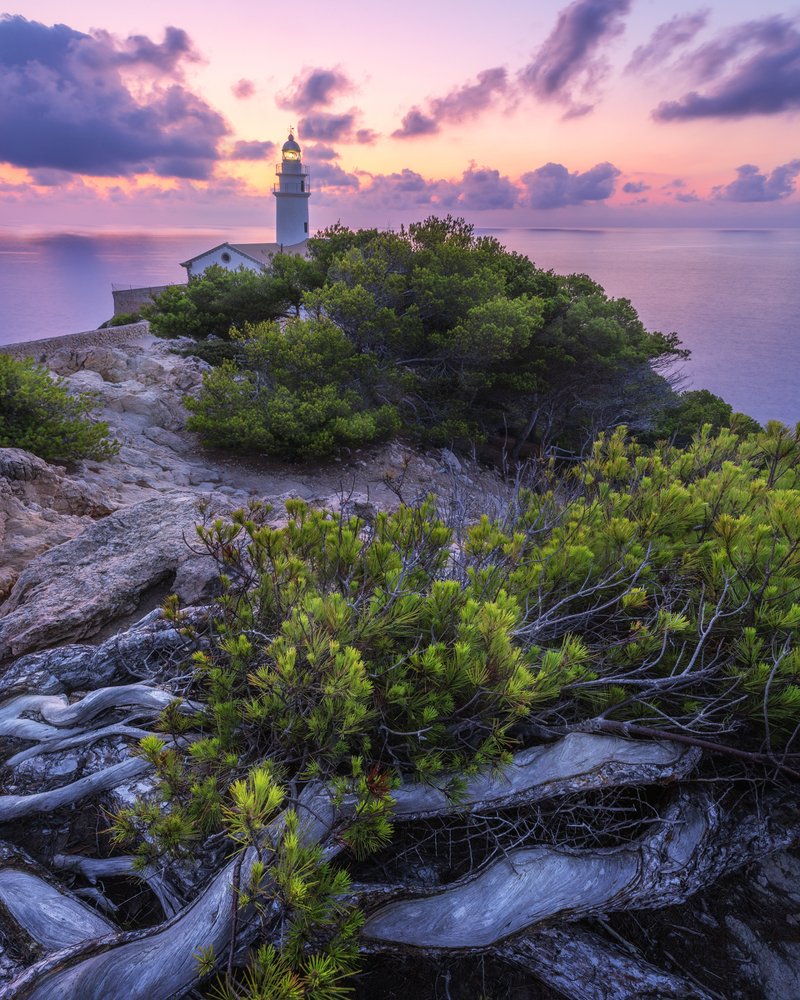 Фотография автора Oleg Rest