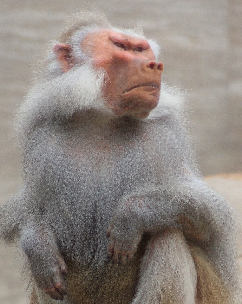 Photograph by Alexander Matschin