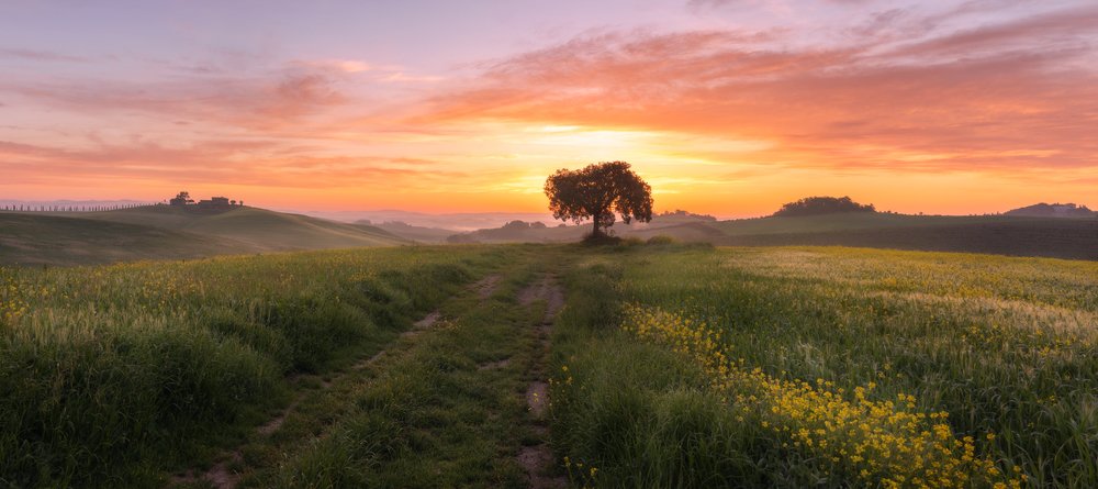 Фотография автора Oleg Rest