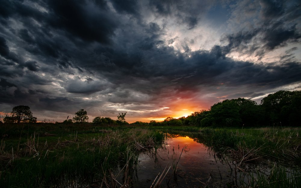 Photograph by Александр Сергиенко
