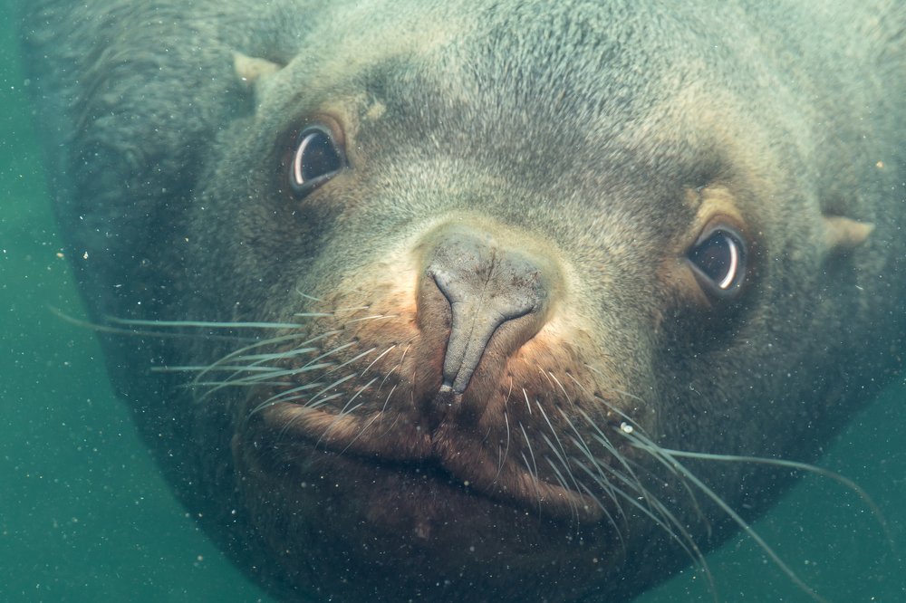 Взгляд из глубины