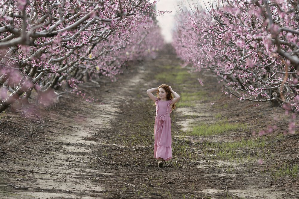 Photograph by Libby Peer