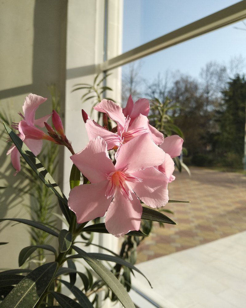 Photograph by Иван Лихачев