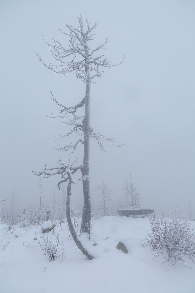 Photograph by Алексей Ретюнских